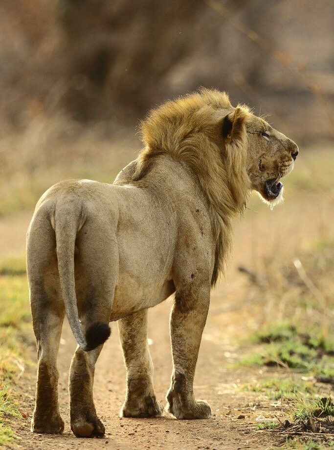 Pendjari National Park